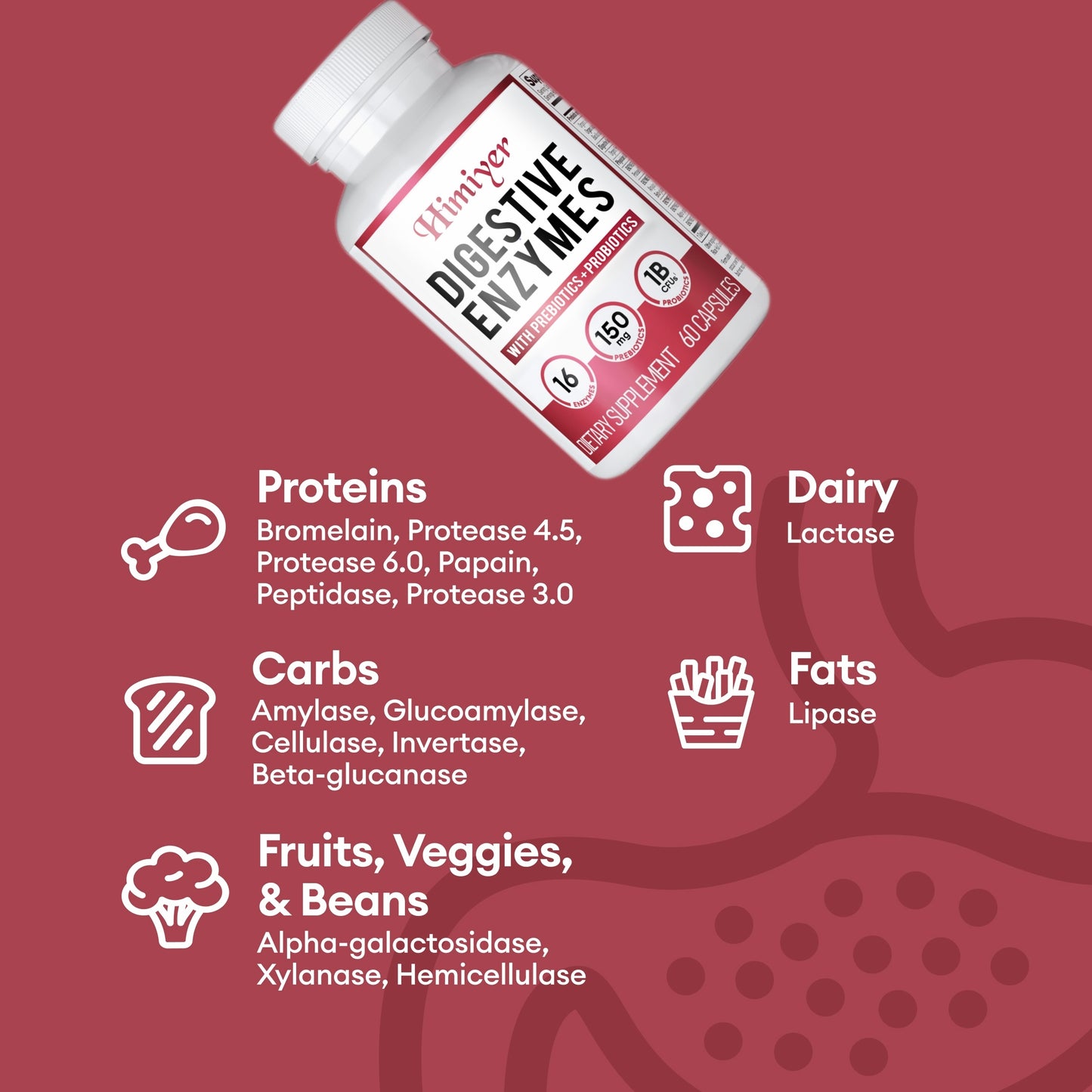 Digestive Enzymes - Multi Enzymes, Organic Prebiotics & Probiotics For Digestive Health & Gut Health - Meal Time Discomfort Relief & Bloating - Dual Action Approach - 60 CT