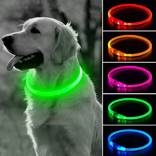 Led Dog Collar Luminous Usb, 3 Modes Led Light (Cat,Dog ) Accessories - Wishop 365