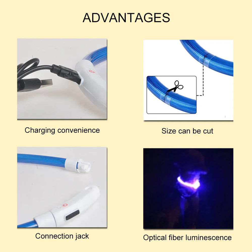 Led Dog Collar Luminous Usb, 3 Modes Led Light (Cat,Dog ) Accessories - Wishop 365