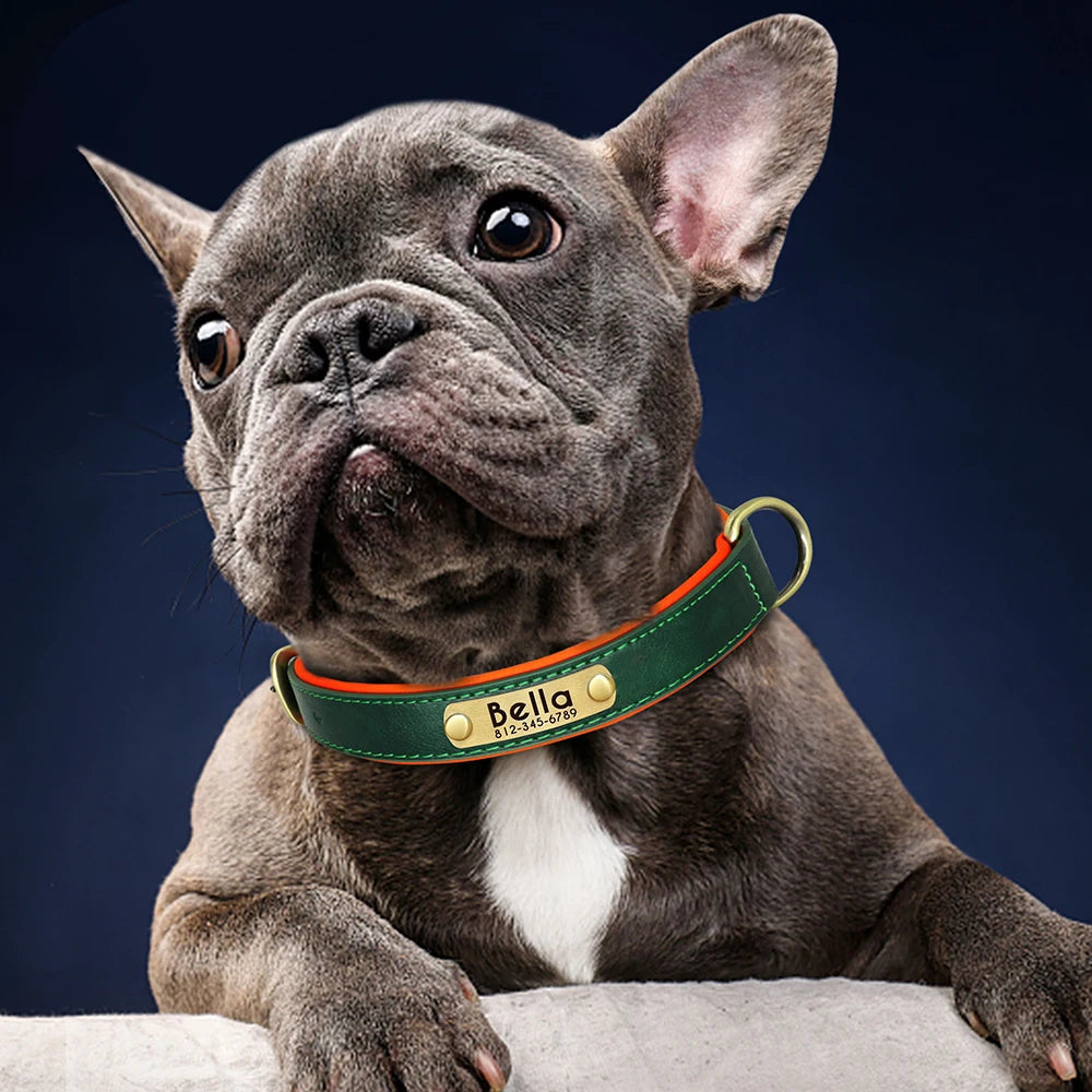 Customized Leather ID Nameplate Dog Collar Soft Padded Dogs Collars Free Engraving Name for Small Medium Large Dogs Adjustable - Wishop 365