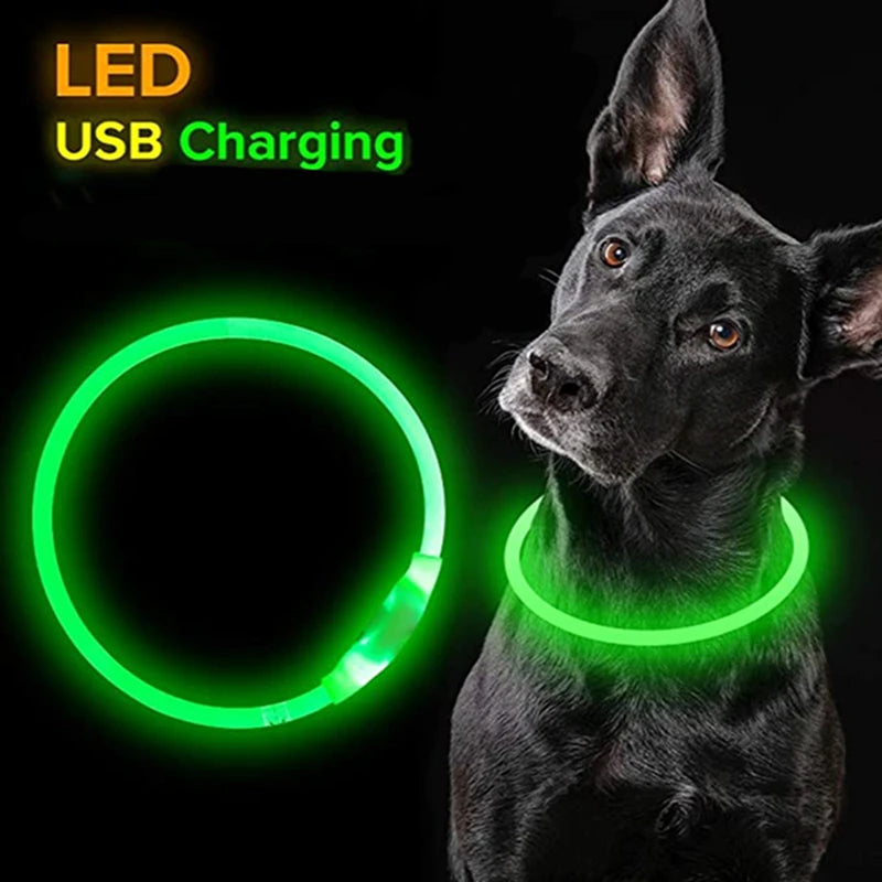Led Dog Collar Luminous Usb, 3 Modes Led Light (Cat,Dog ) Accessories - Wishop 365