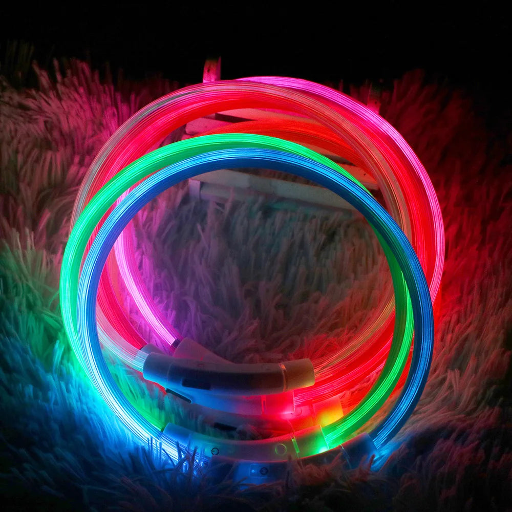 Led Dog Collar Luminous Usb, 3 Modes Led Light (Cat,Dog ) Accessories - Wishop 365
